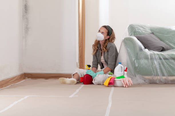 Reliable Crawl Space Mold Remediation contractor in Chestnut Hill, MA by Car Mold Remediation